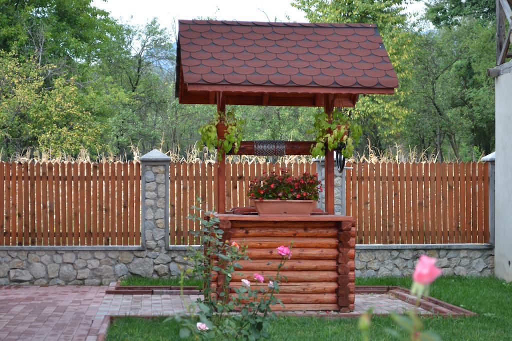 Вилла Arnota Costesti  Экстерьер фото